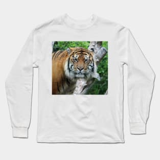 Eye Contact Long Sleeve T-Shirt